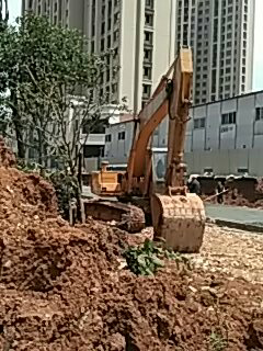 这么好的太阳！只能停下来晒晒了