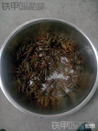 捉了好多小龙虾