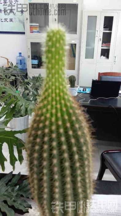 怎么变细了
