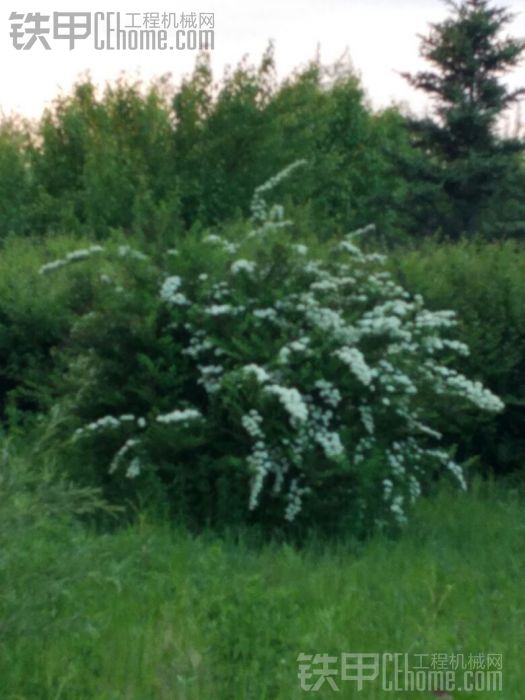 植物園溜達(dá)