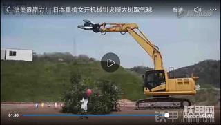 这是小松吗