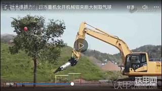 这是小松吗