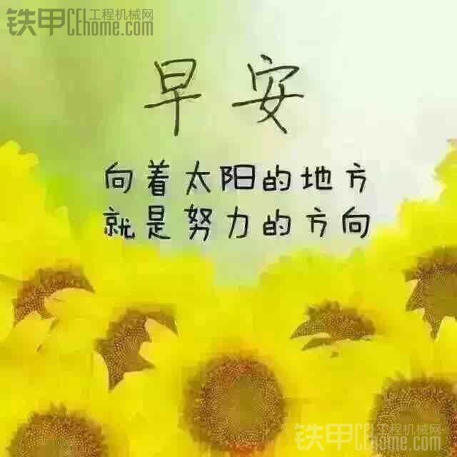 早上好