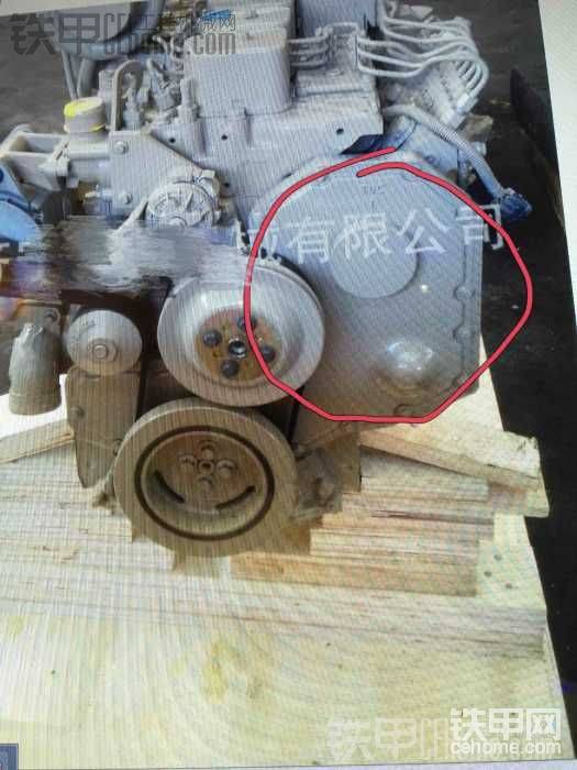 幫我看看這個紅色圈圈里的部位叫什么名字