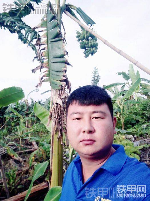 小弟我是河北人，几乎没见过香蕉长在树上是什么样的所以一定要拍照留念，
