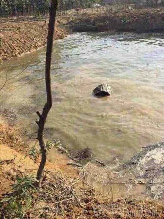 挖個魚塘來釣魚，卻把挖機掉打了窩