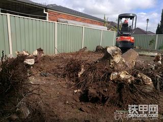 上机5小时，澳洲开始挣钱了
