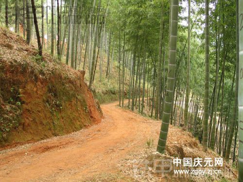 招会做山路便道的师傅