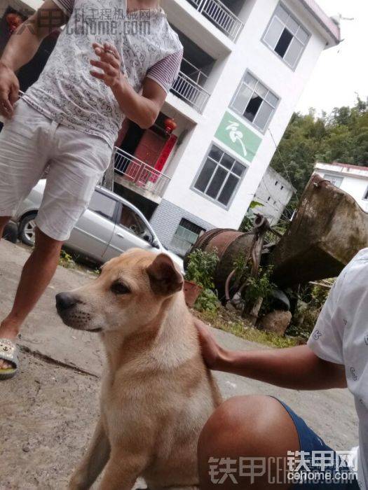 我知道你很乖。
