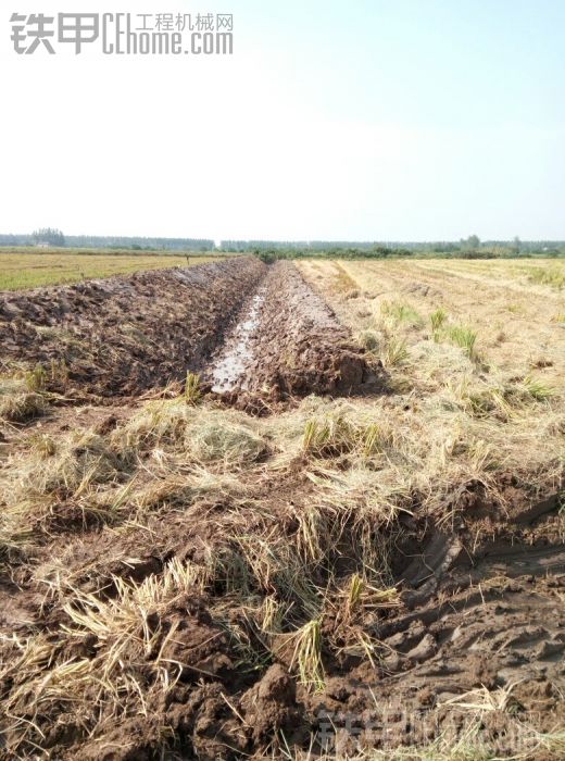 怎样挖龙虾勾大师指点