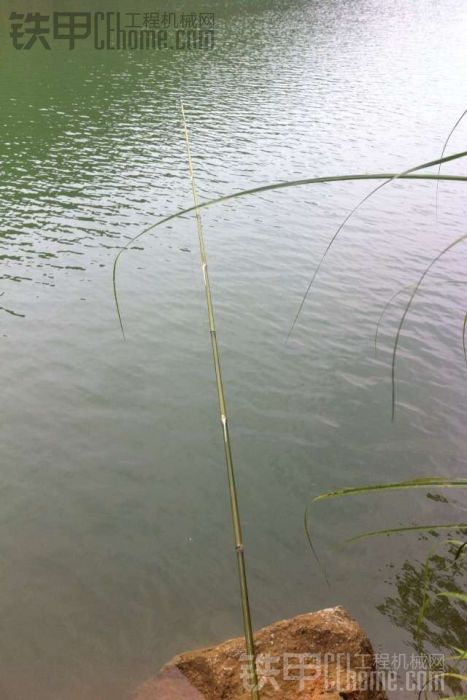 今天偷懶釣魚