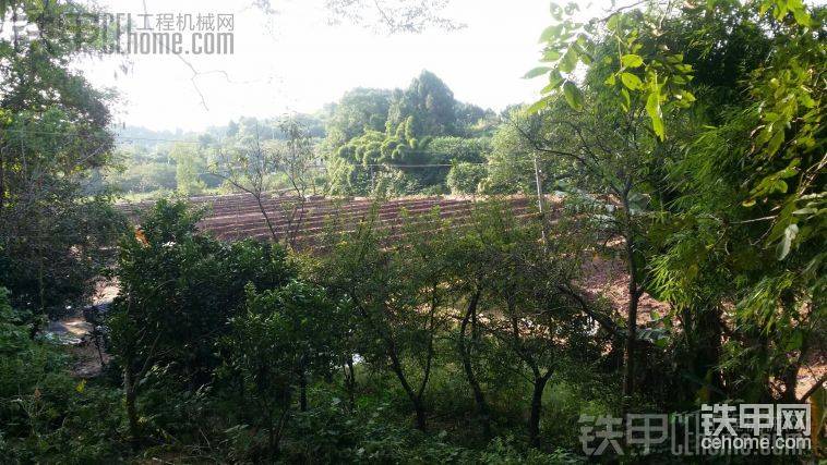 隔了一條公路，我剛在這干完20畝蝦苗種田，路那邊就來工了
