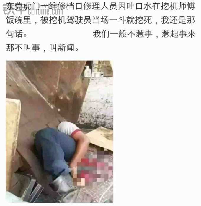 一言不和就拍死