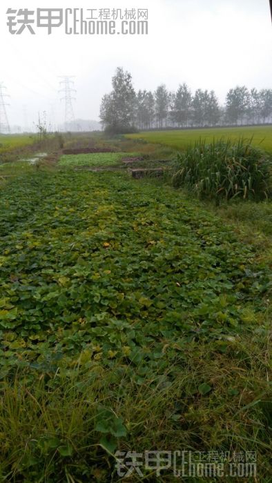 下雨暫停一下