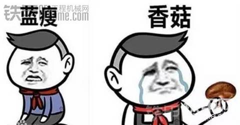 #十月入秋夜?jié)u長，白天干活非常忙#