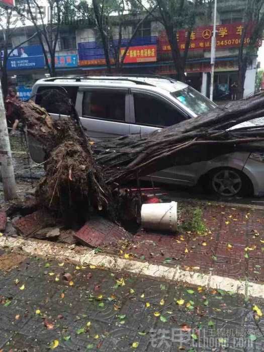 臺風(fēng)過后 縣城一片狼籍