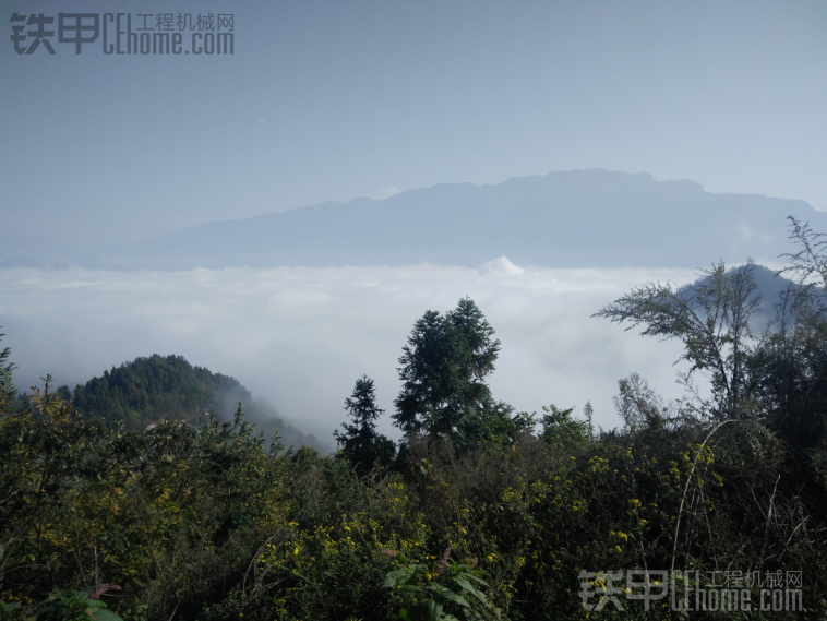 今兒天氣好