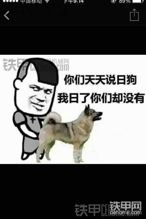 或加我微信13546540445手機(jī)同號(hào)
