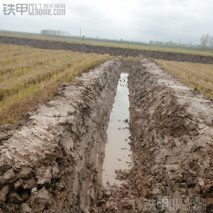 一年又過去了.挖的龍蝦溝湊合著看吧