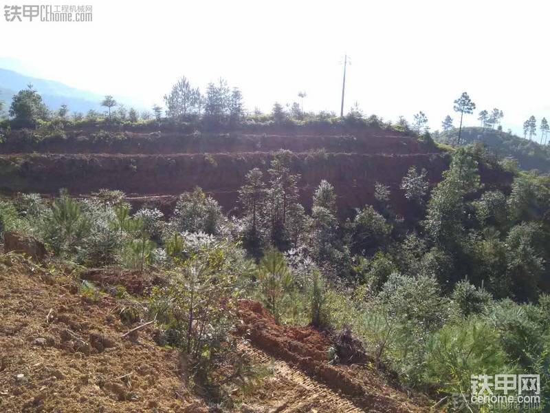 自己有3000畝山地開挖條帶，用什么機(jī)型好-帖子圖片