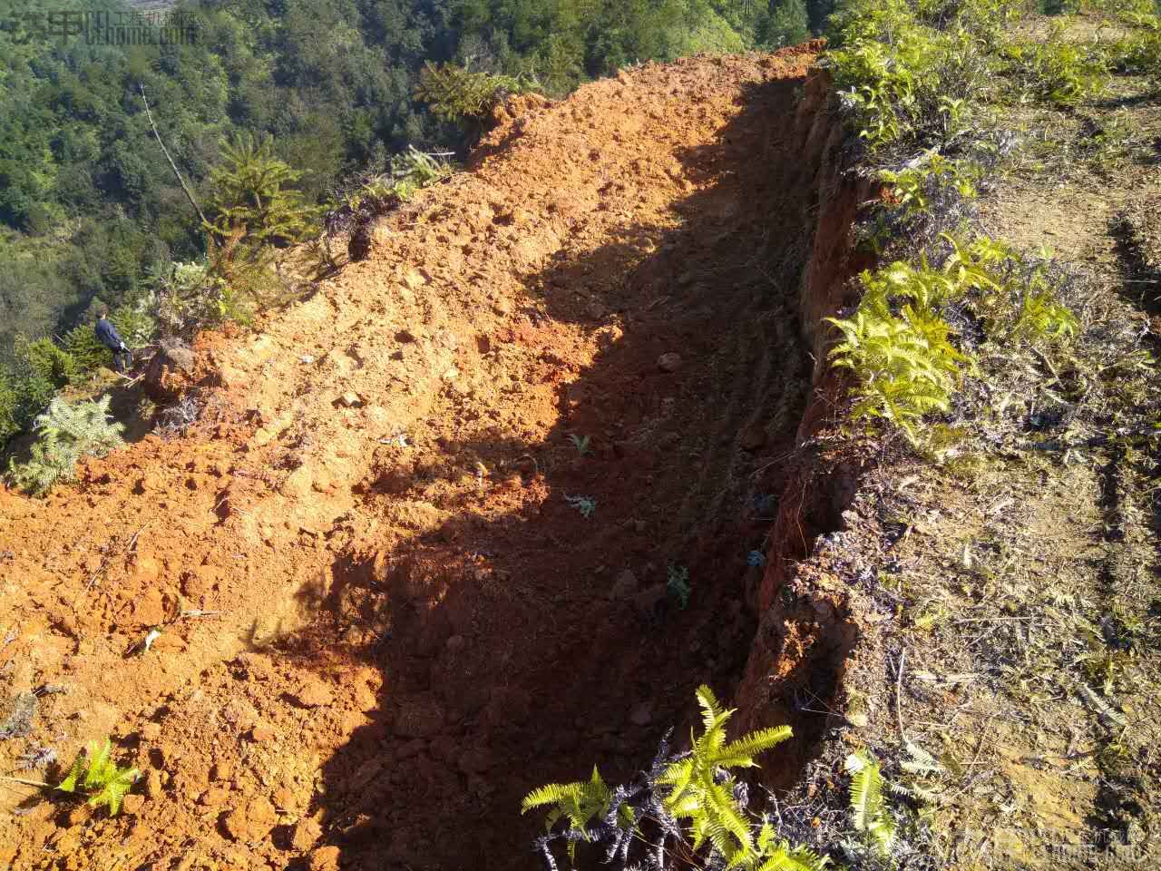 自己有3000畝山地開挖條帶，用什么機(jī)型好