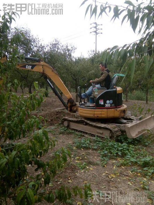 【美丽中国】卡特303CR一年回顾