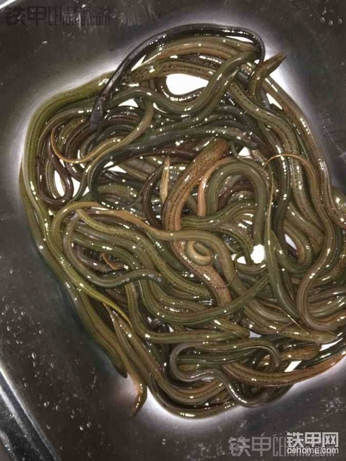 三天一共就這么多