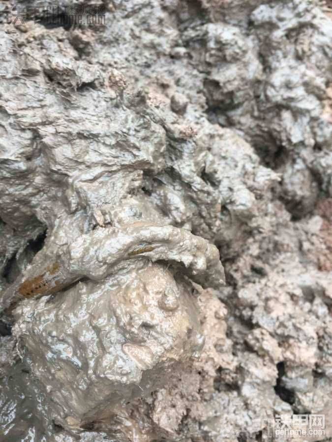 小樣還想跑