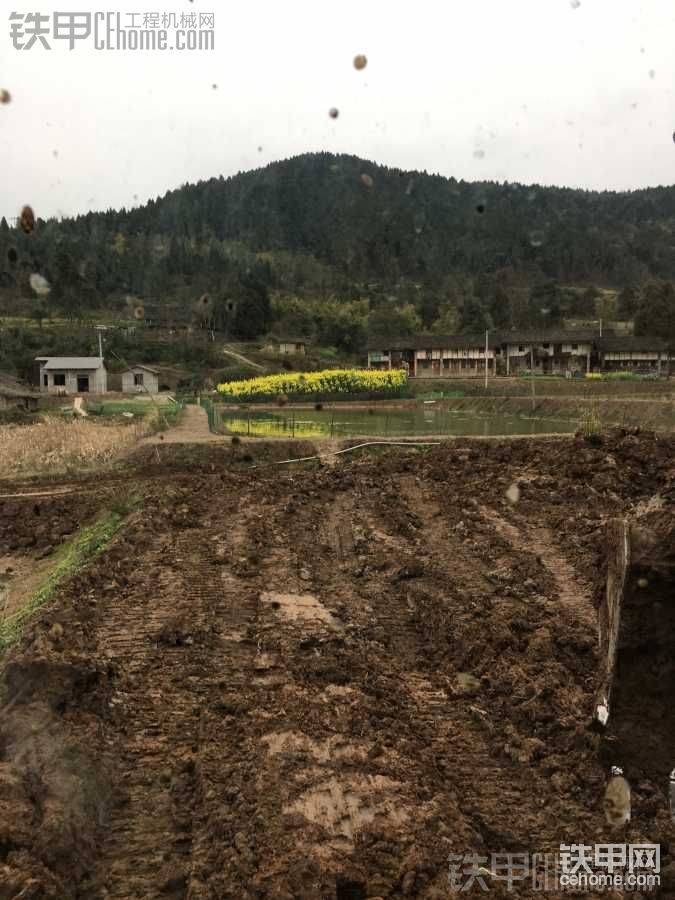 老梗子全部挖掉后從新加新土