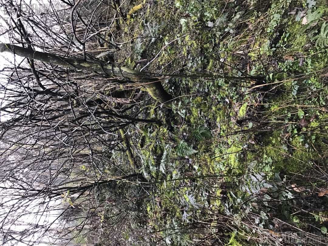 修山路遇到土质松软的陡坡怎么办？