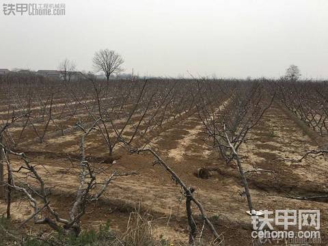 【機械達人】8馬力旋耕機3年使用報告