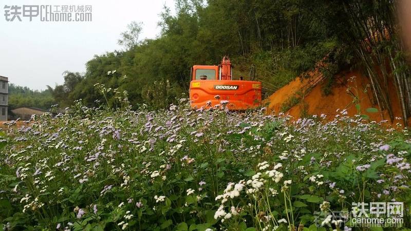 屁股還算可以吧，畢竟在農(nóng)村干活，地方狹窄，免不了磕磕碰碰的