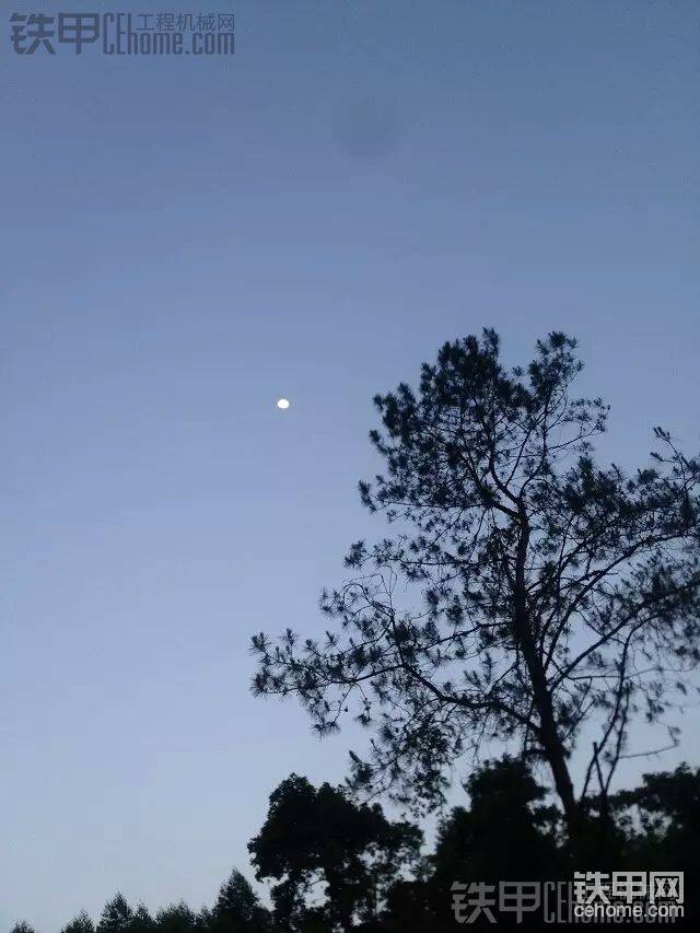我想爬上樹梢去觸摸那最為純白的明月