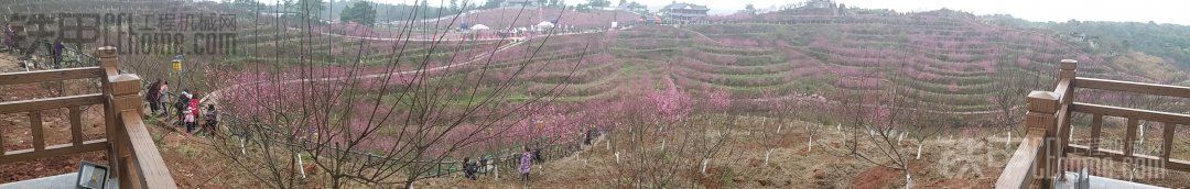 【攝影作品】 桃花園與隨手拍