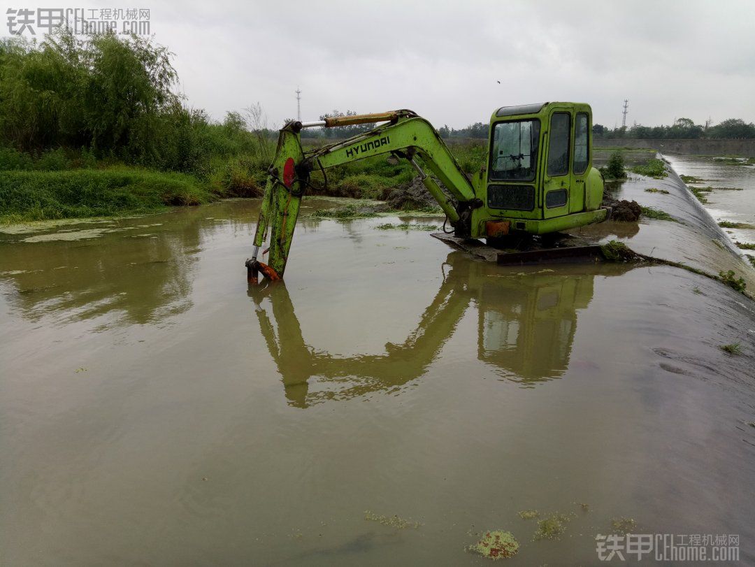 小青蛙下水