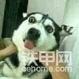 提到這事我真的想這樣掐但是又不能。畢竟有些東西比錢重要。
