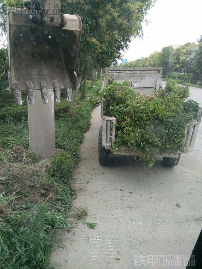 分享日記第三十九天