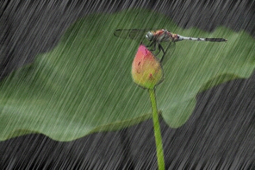 雨……再大點(diǎn)就好了