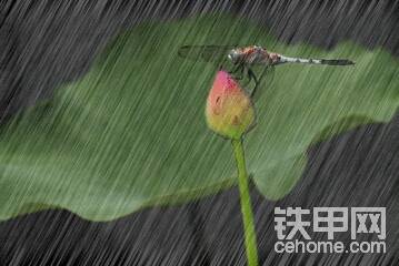 雨……再大點就好了