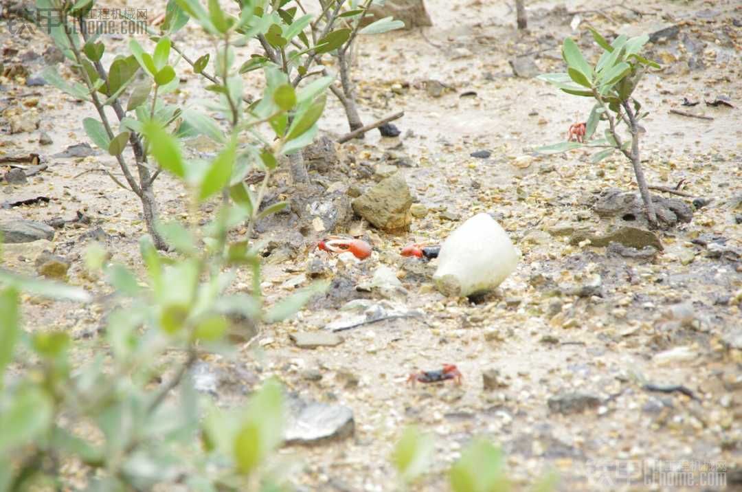 这个季节，适合出去玩