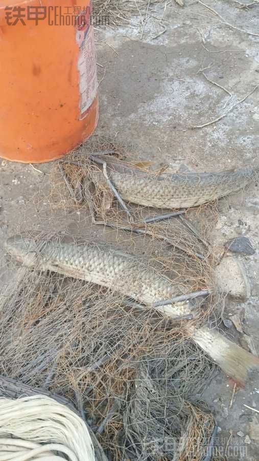 今天下雨休息去海邊打魚