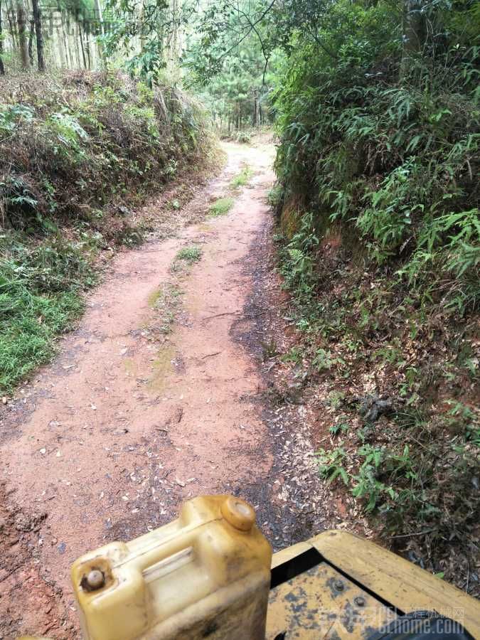 山里的空氣不錯(cuò)！