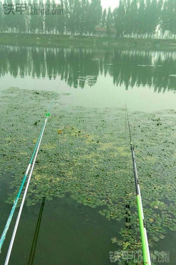 【真爽】7月16日，又去釣魚了