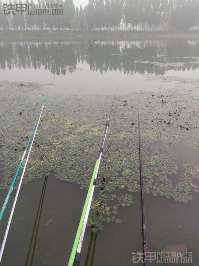 【真爽】7月16日，又去釣魚了