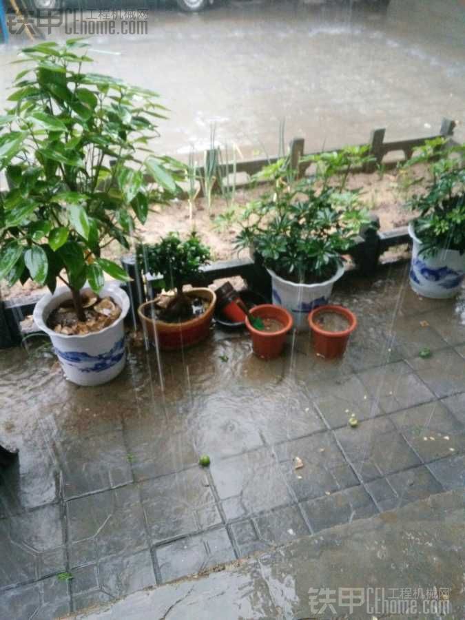 老是下雨活都沒法干了