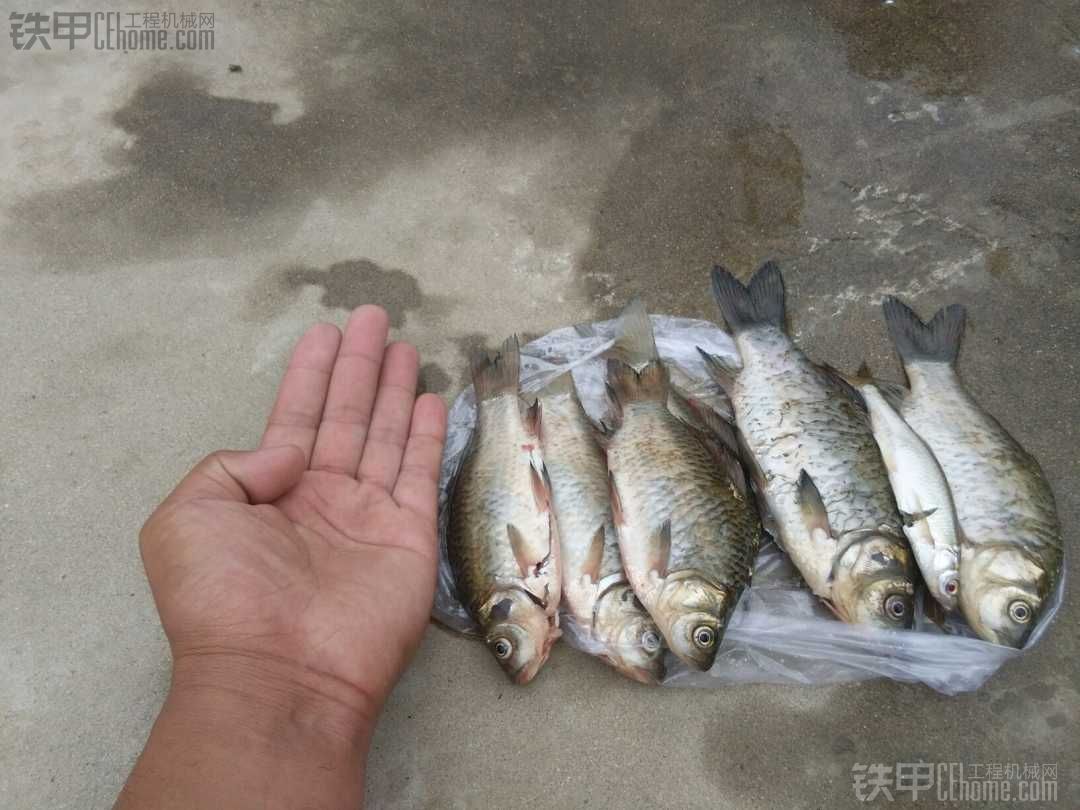 【真爽】7月20日，今天又去釣魚了