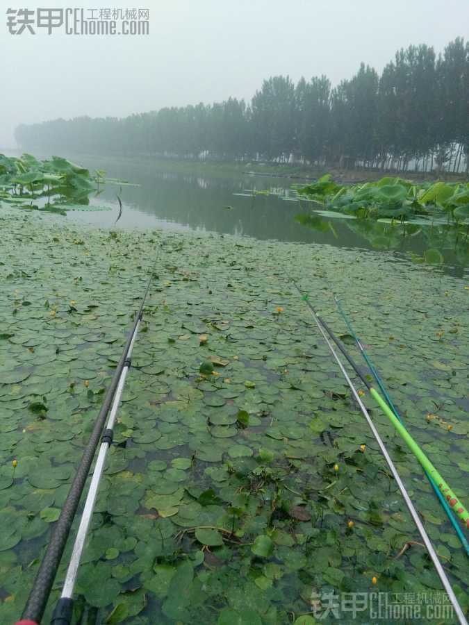 【真爽】7月20日，今天又去釣魚了