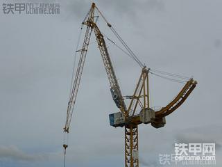 Cobra-Crane  眼镜蛇起重机