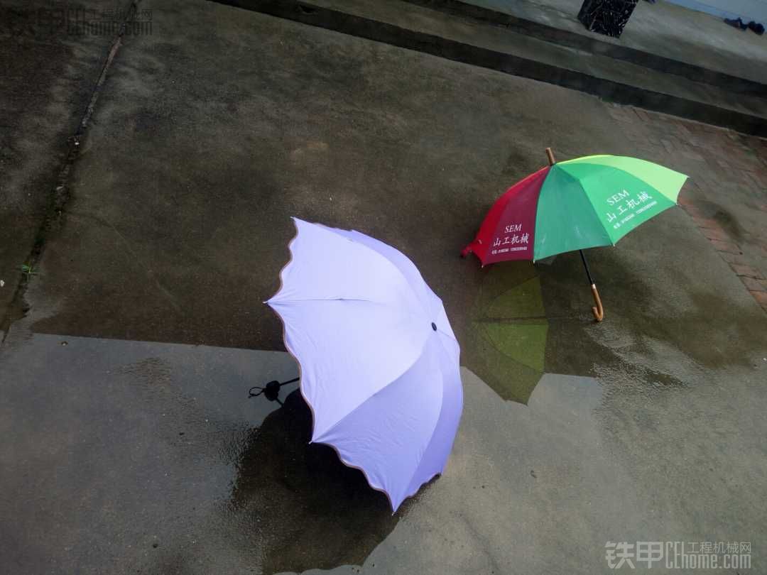 雨后……