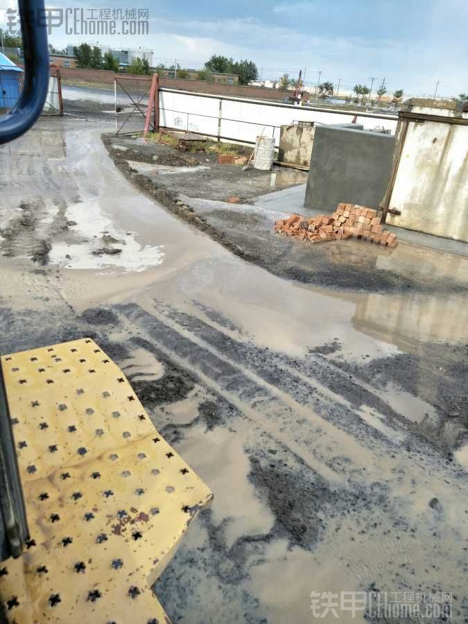 雨后空氣真好